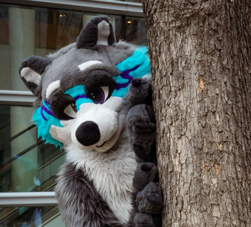https://www.furtrack.com/index/character:jazz_(aestheticoon)